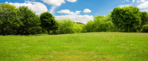 vacant land loans